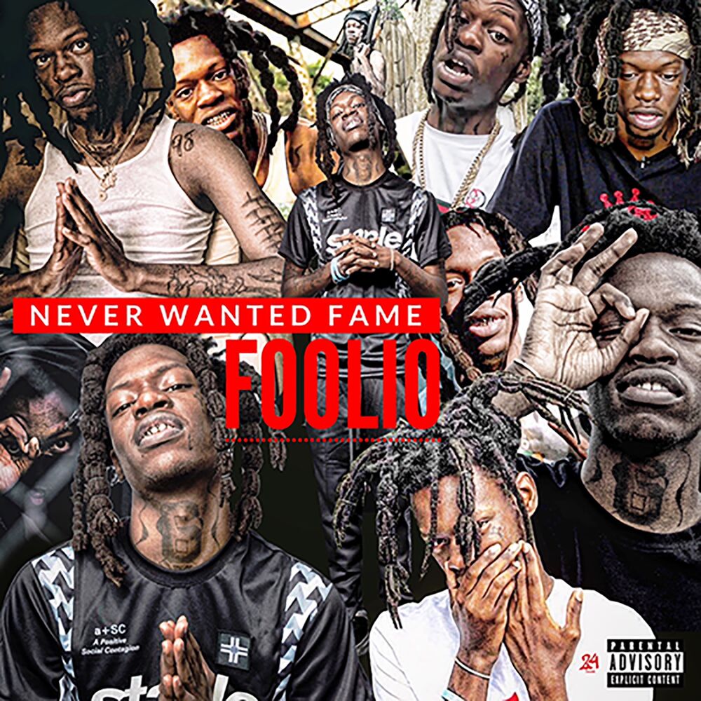 Picture of Never Wanted Fame
