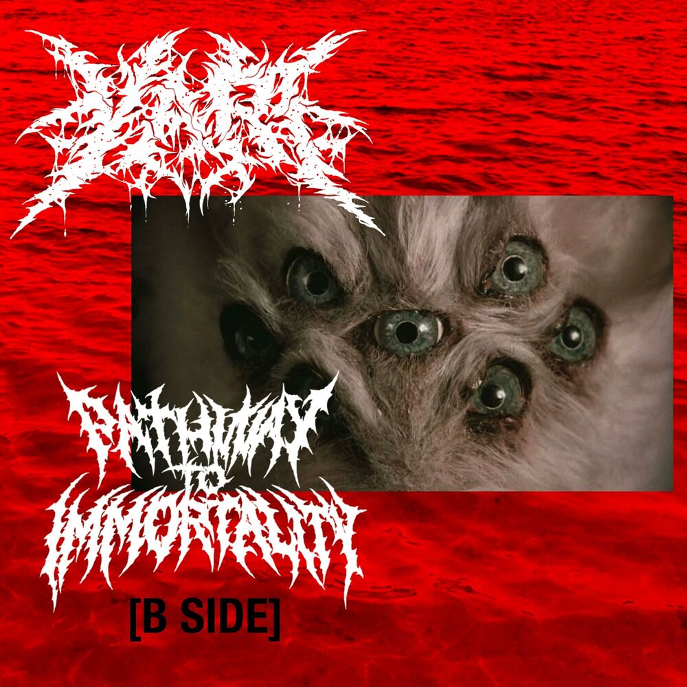Picture of P2i B SiDE