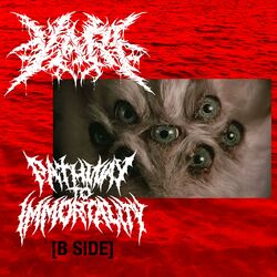 Cover of P2i B SiDE