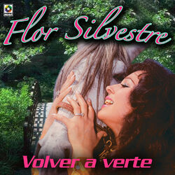 Cover of Volver A Verte