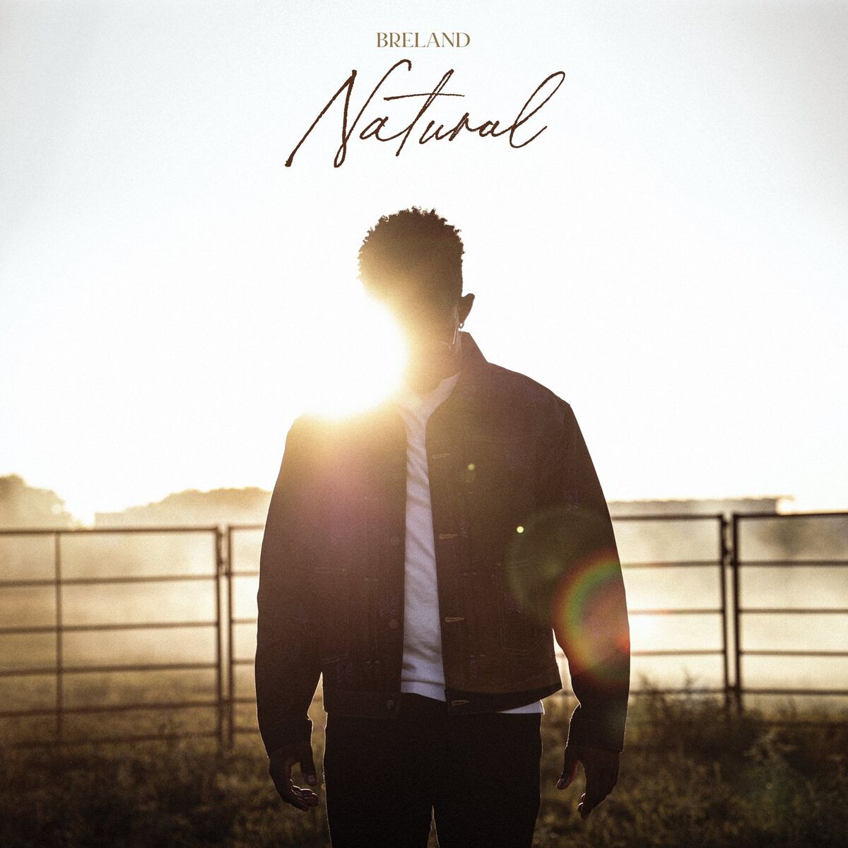 Album cover of Natural