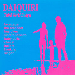 Cover of Third World Budget