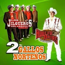 Cover of 2 Gallos Norteños (Edited) (Norteño)
