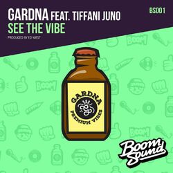Cover of See The Vibe