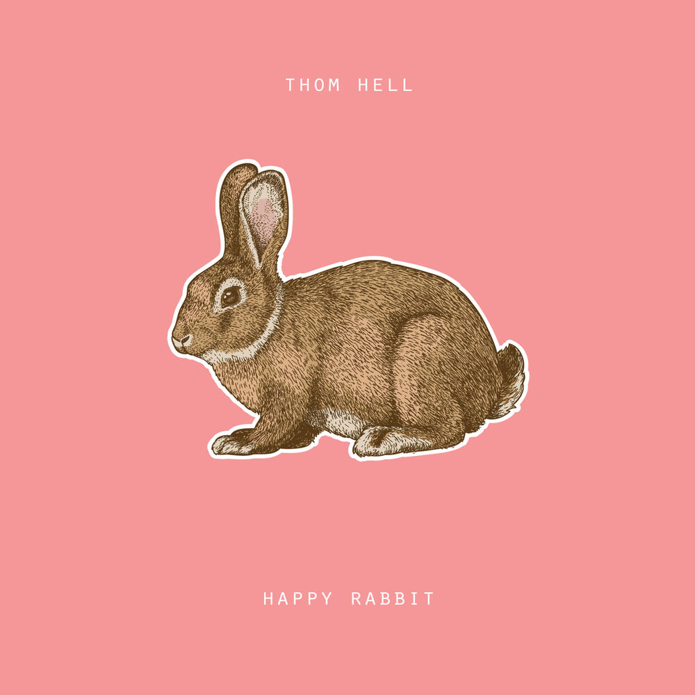 Picture of Happy Rabbit
