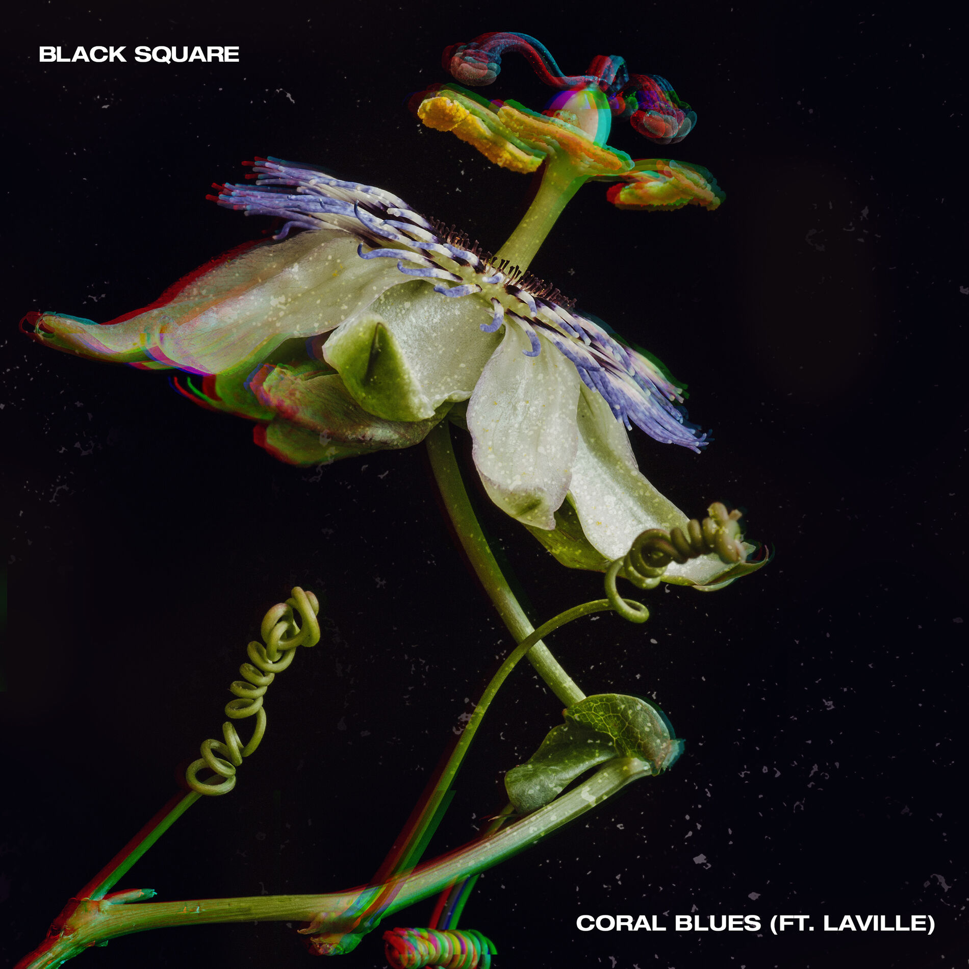 Album cover of Coral Blues