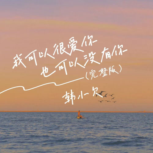 我可以很爱你也可以没有你 (DJ彭锐版)