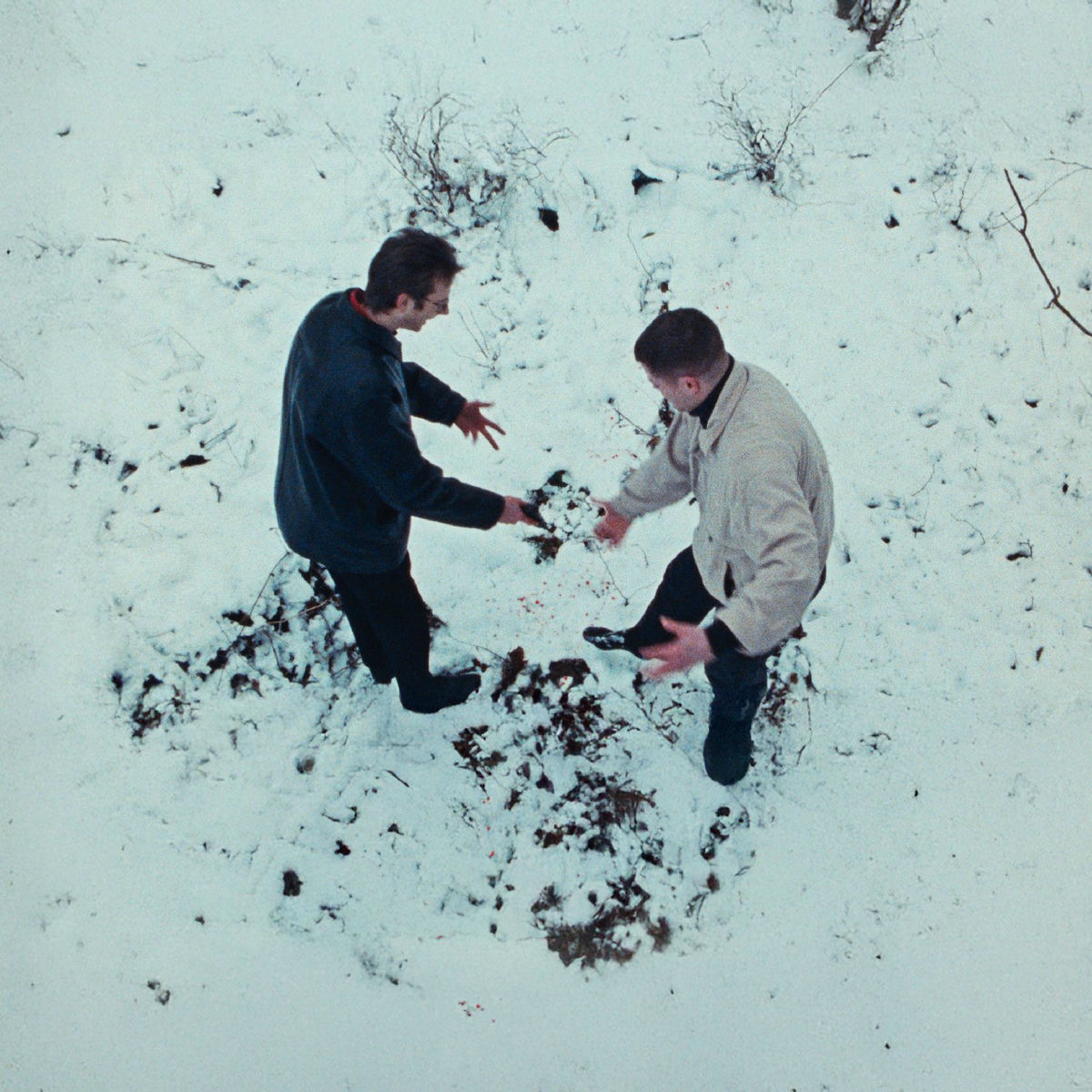 Album cover of Pine Barrens