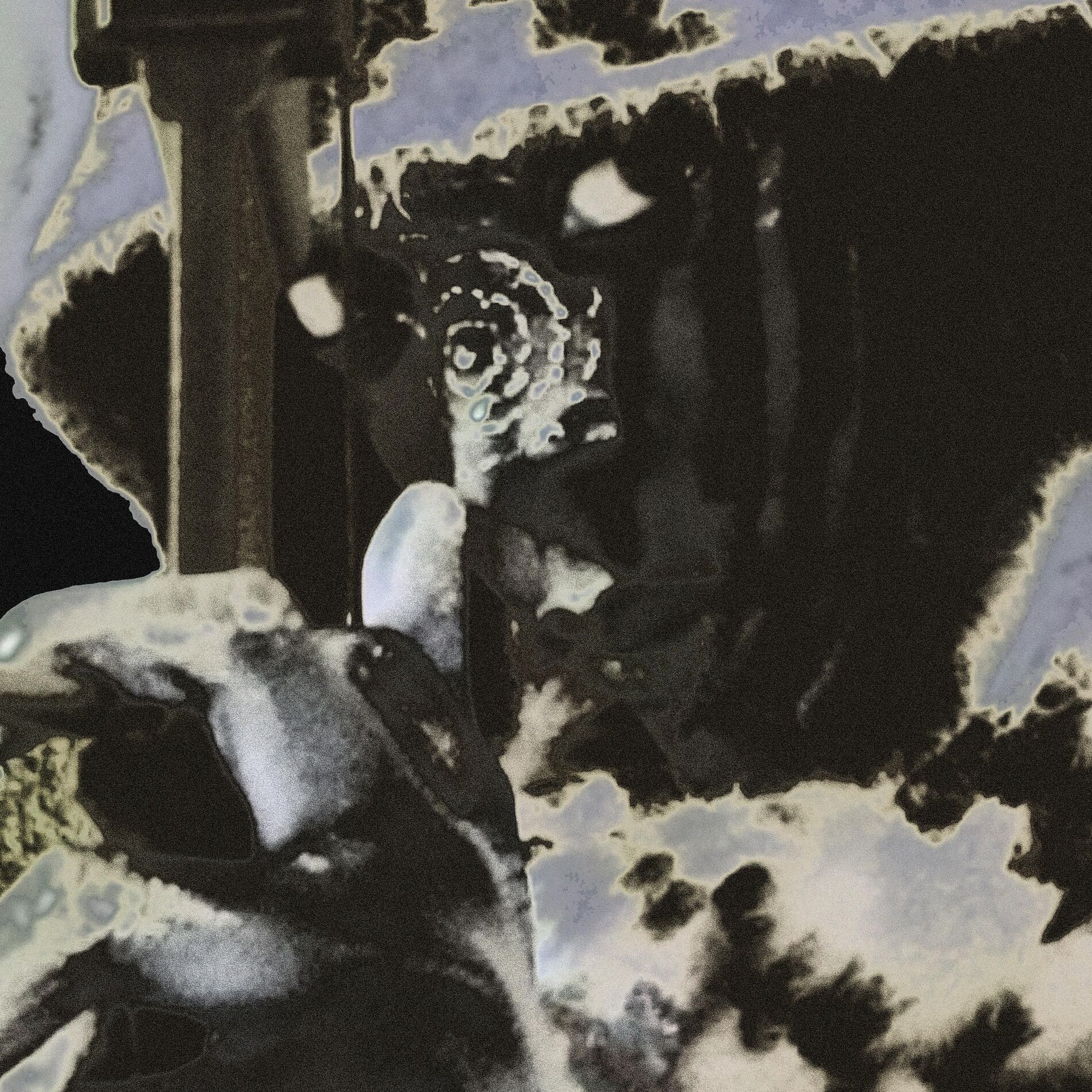 Album cover of Philia