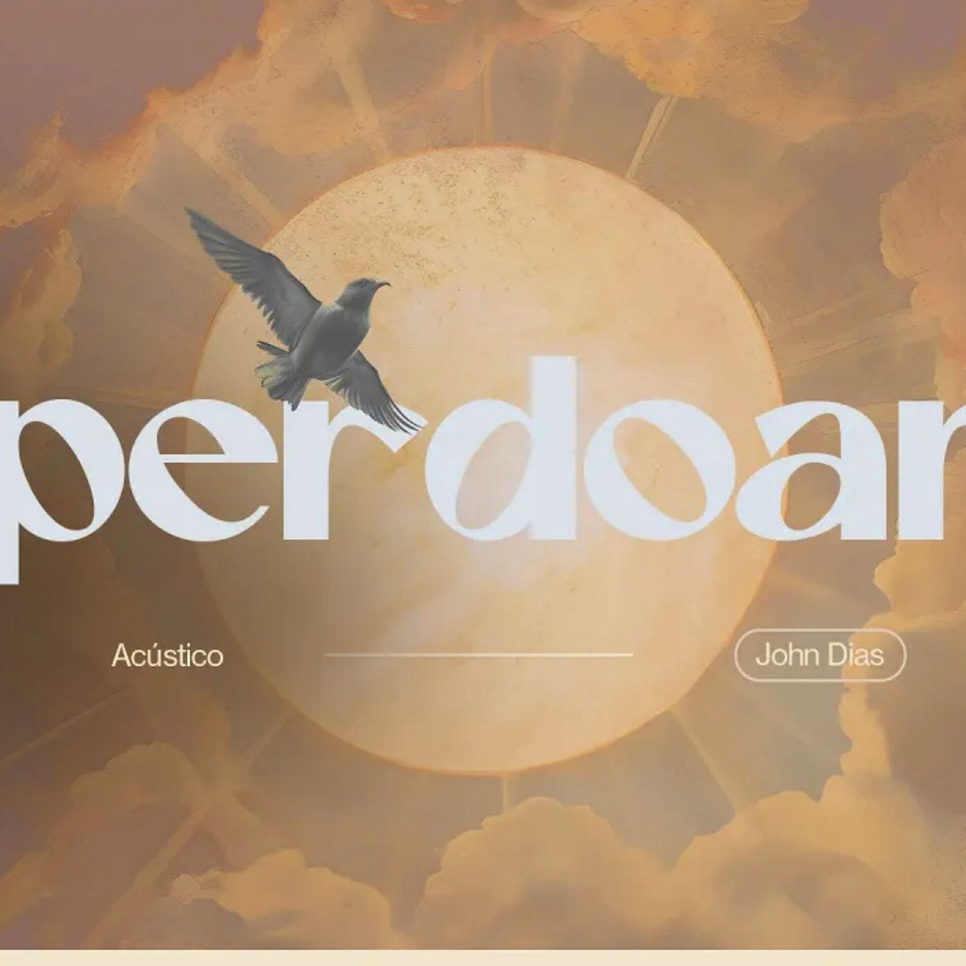 Album cover of Perdoar