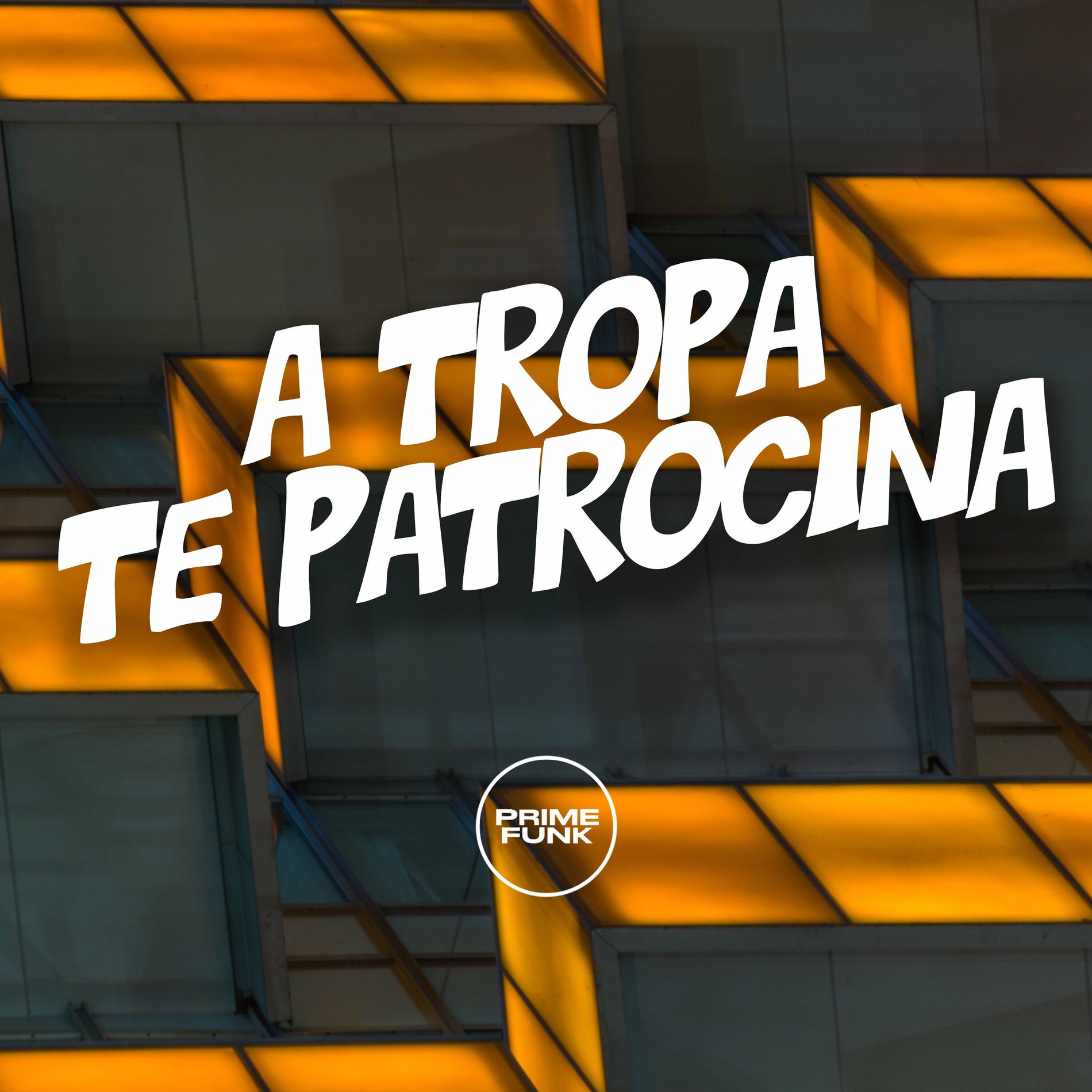 Album cover of Tropa Te Patrocina
