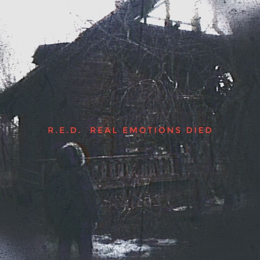 Picture of R.E.D.