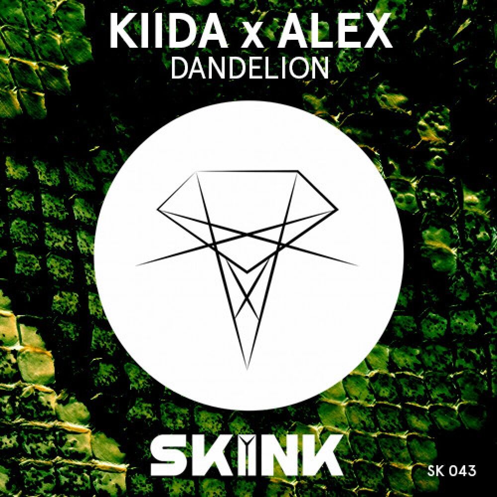 Picture of Dandelion