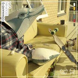 Cover of Dolphin