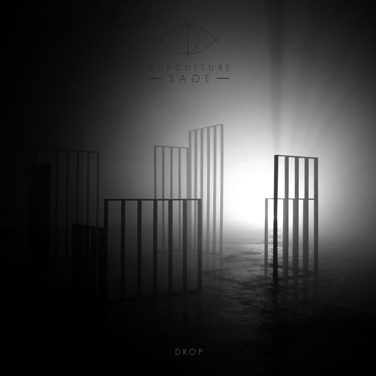 Album cover of Drop