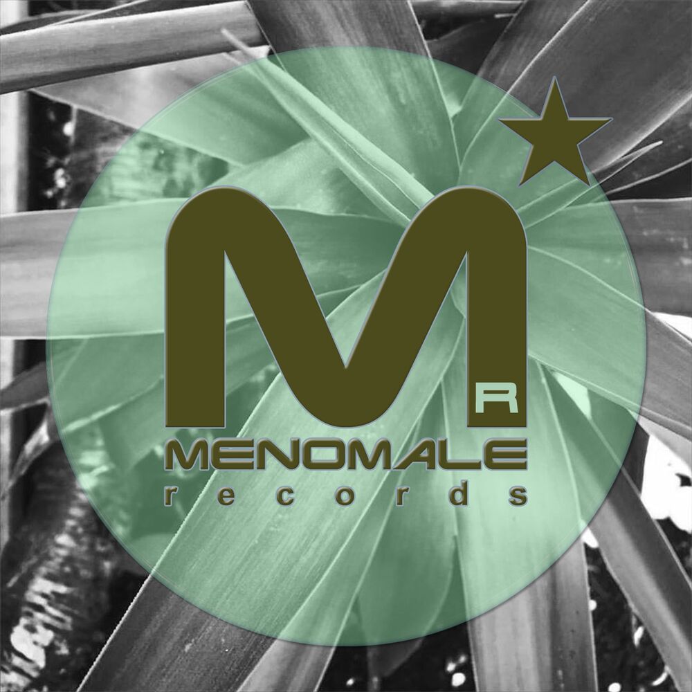 Picture of Menostar, Vol. 60