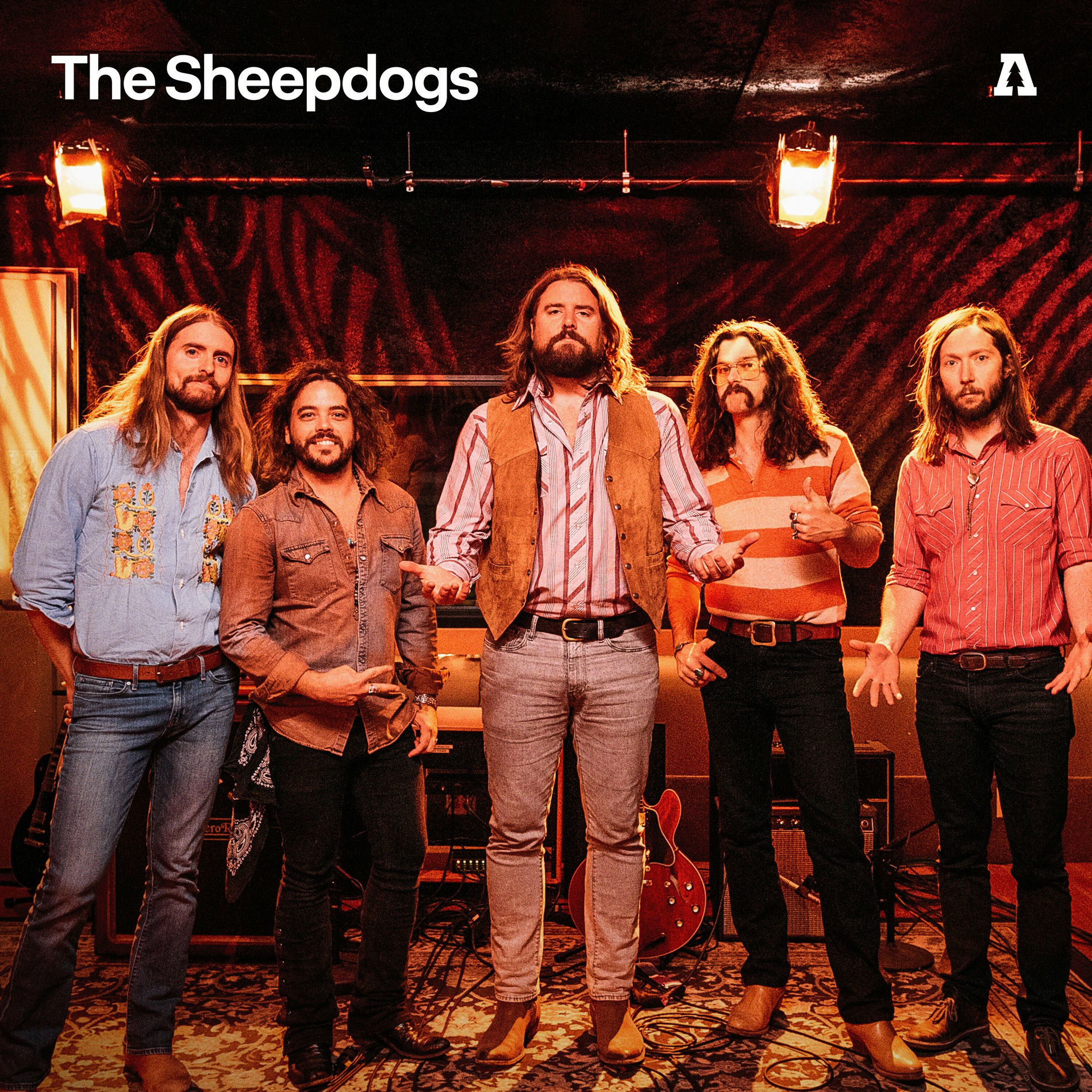 Album cover of The Sheepdogs on Audiotree Live (Live)