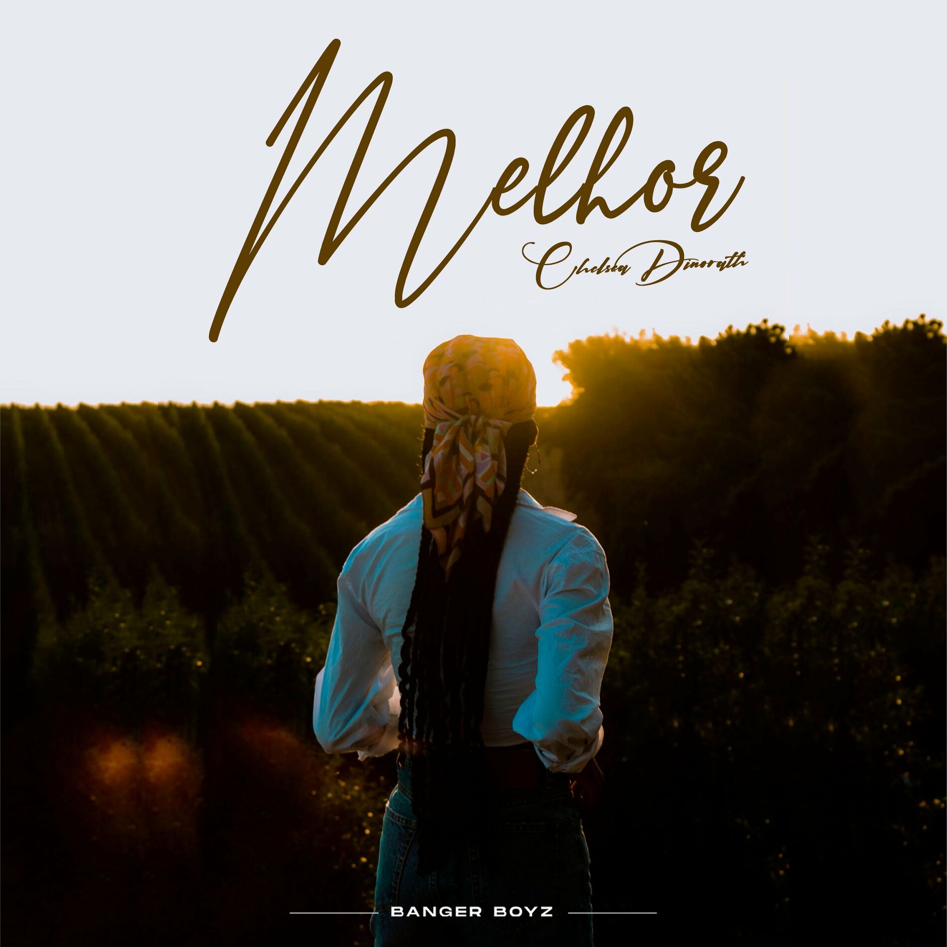 Album cover of Melhor