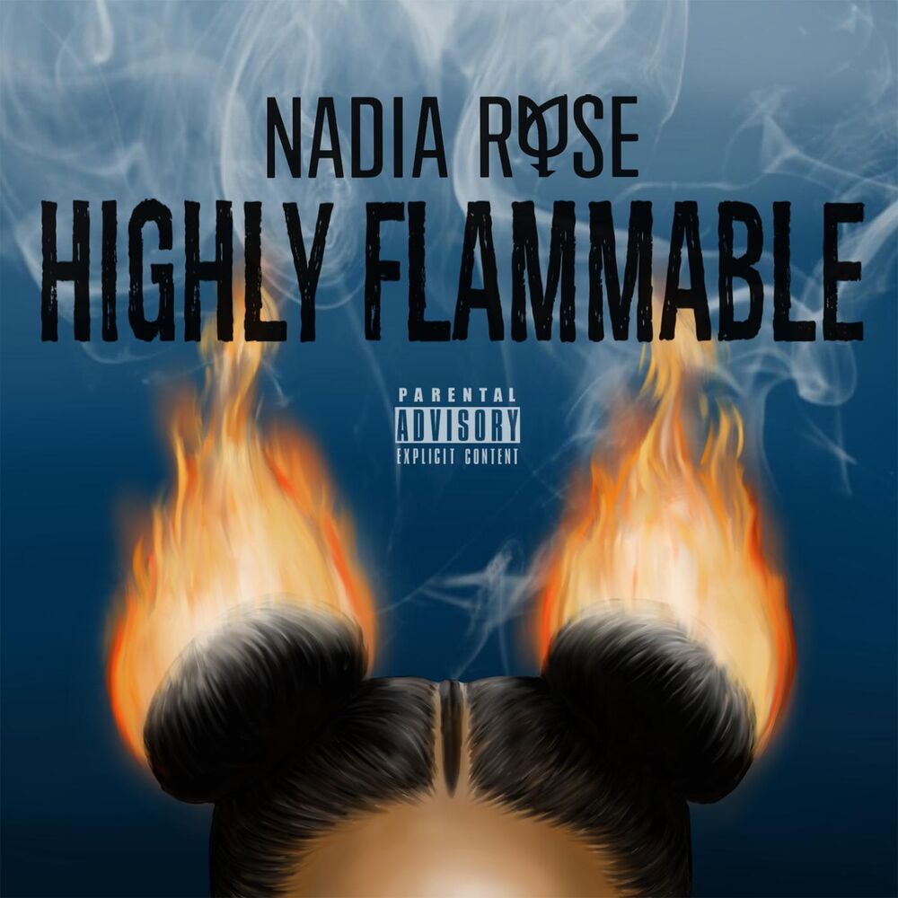 Picture of Highly Flammable