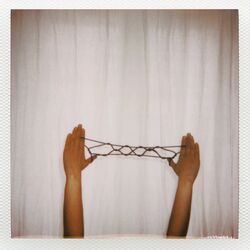 Cover of The Real Cat's Cradle