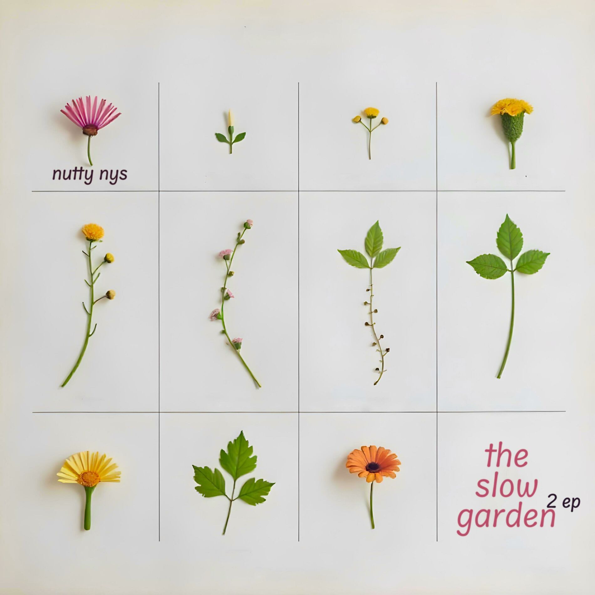 Album cover of The Slow Garden 2 EP