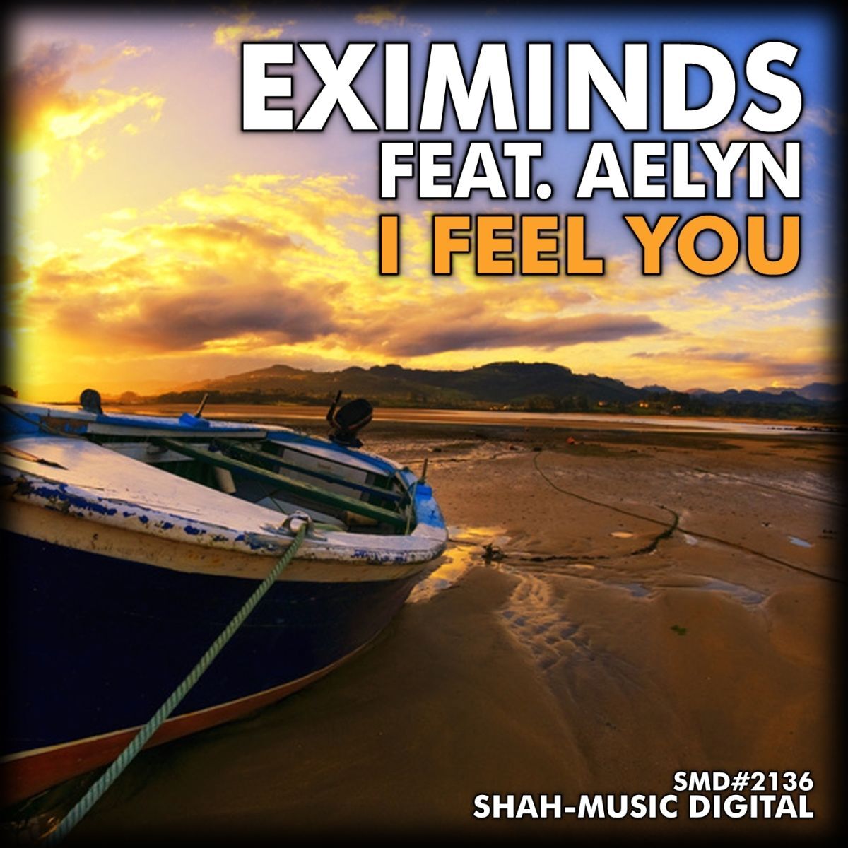 Album cover of I Feel You