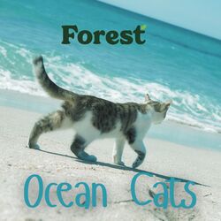 Cover of Soothing Ocean Cats