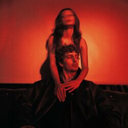 Cover of let me fall