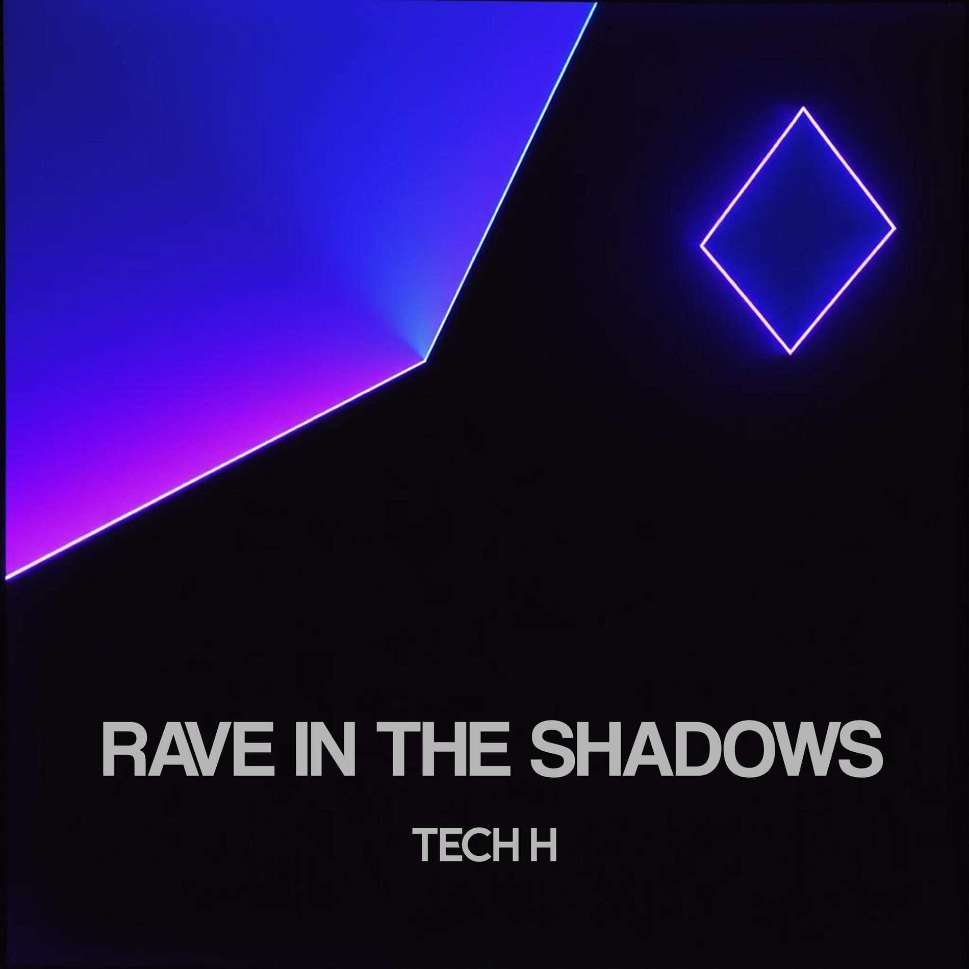 Album cover of Rave In The Shadows