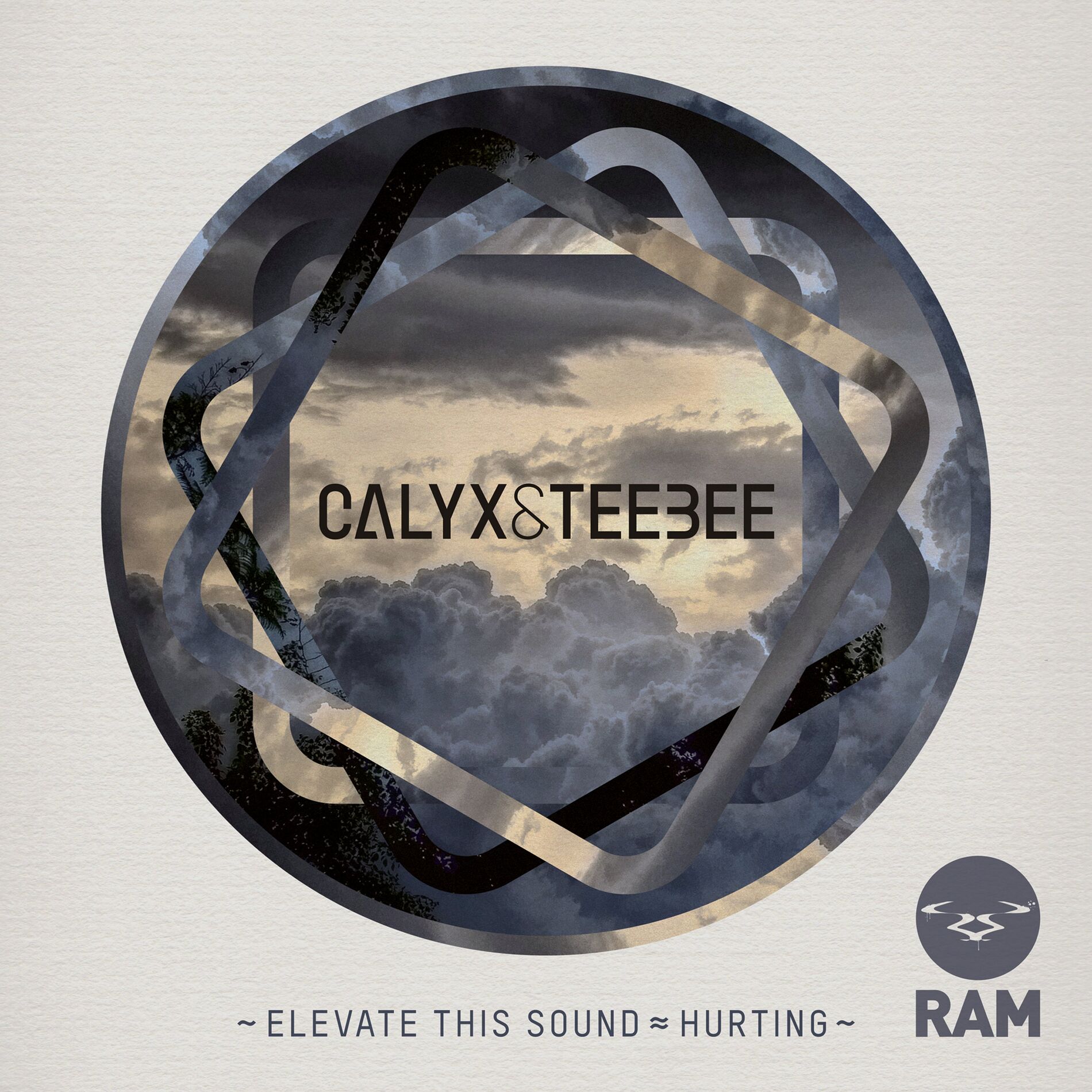 Album cover of Elevate This Sound