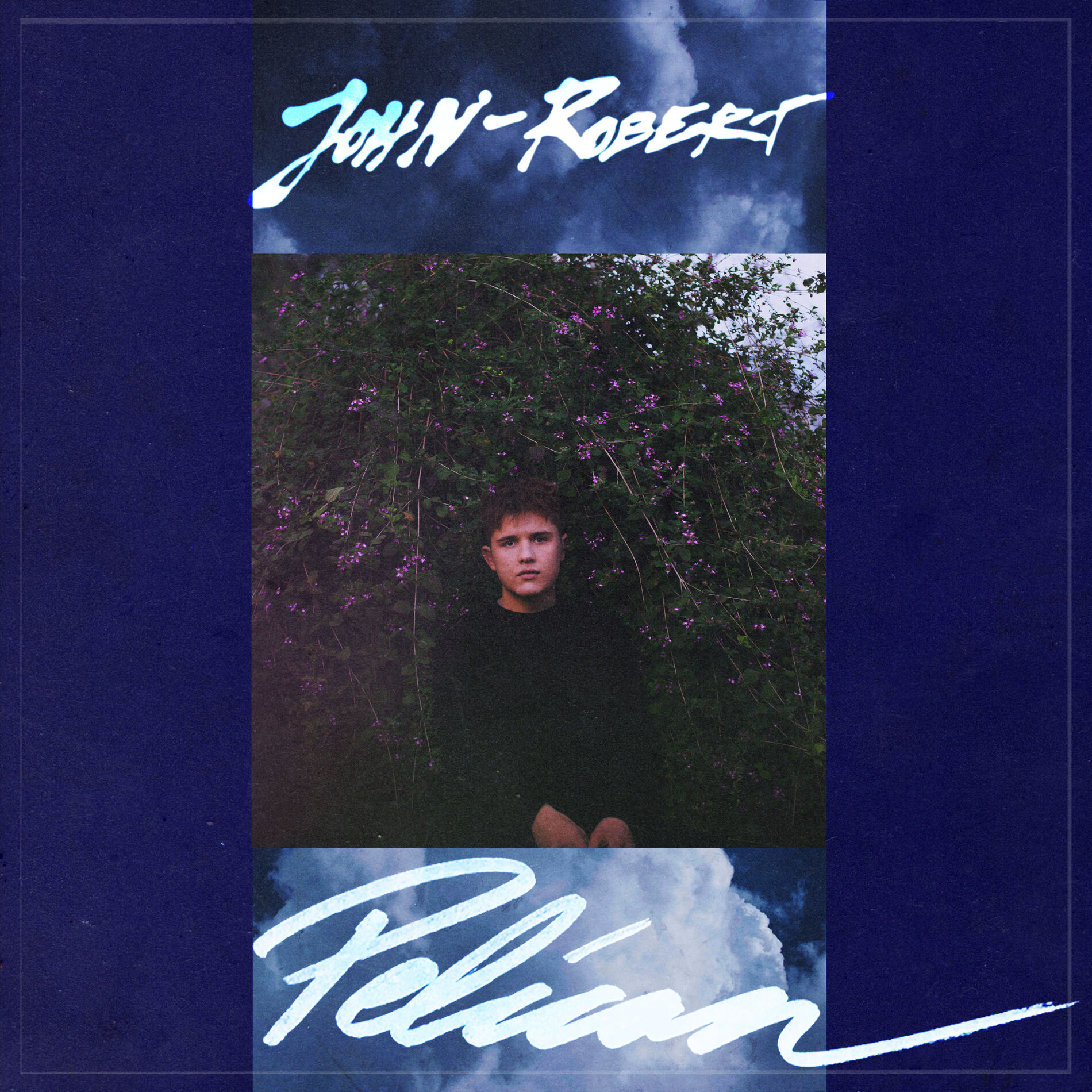 Album cover of Pelican