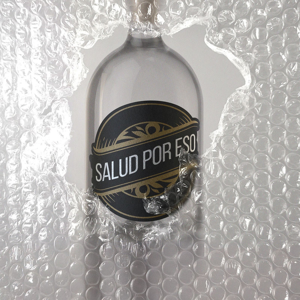 Album cover of Salud Por Eso