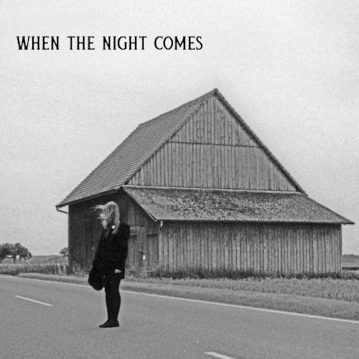 Album cover of When the Night Comes