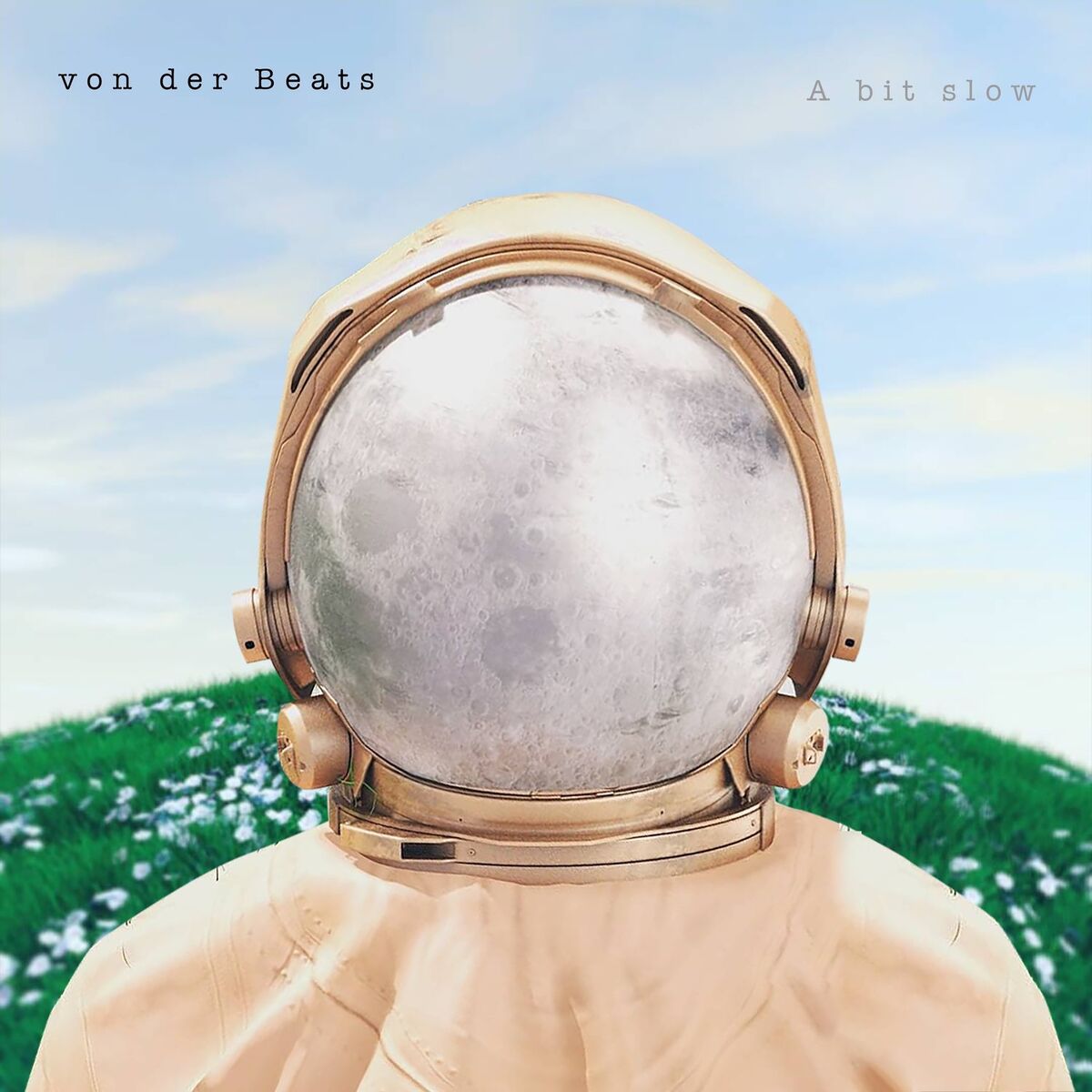 Album cover of A bit slow