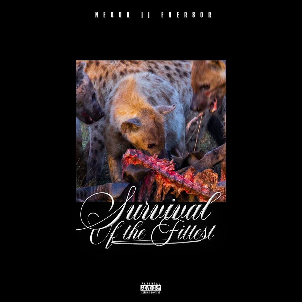 Picture of Survival Of The Fittest