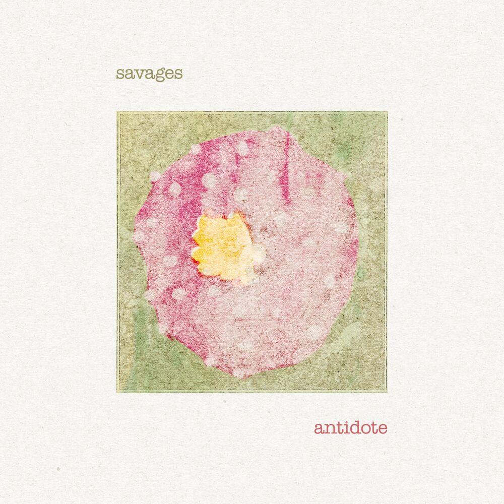 Picture of Antidote