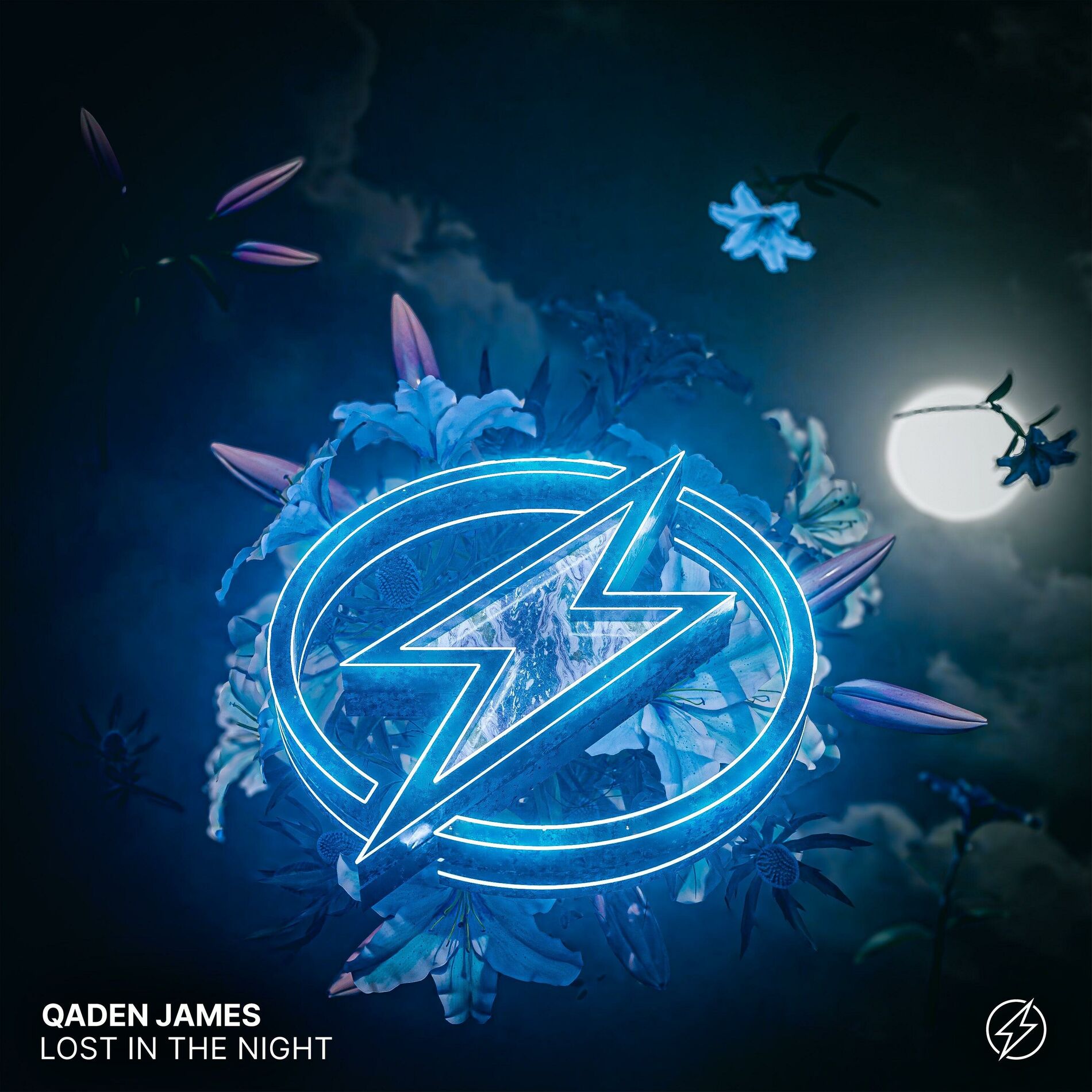 Album cover of Lost In The Night