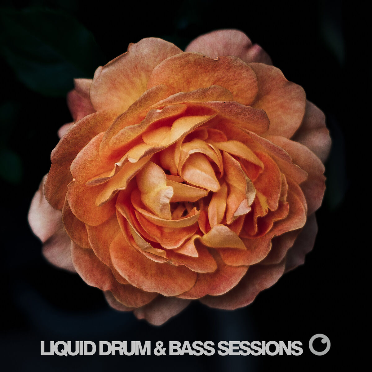 Album cover of Liquid Drum & Bass Sessions 2019 Vol 4