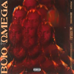 Cover of Buio Omega
