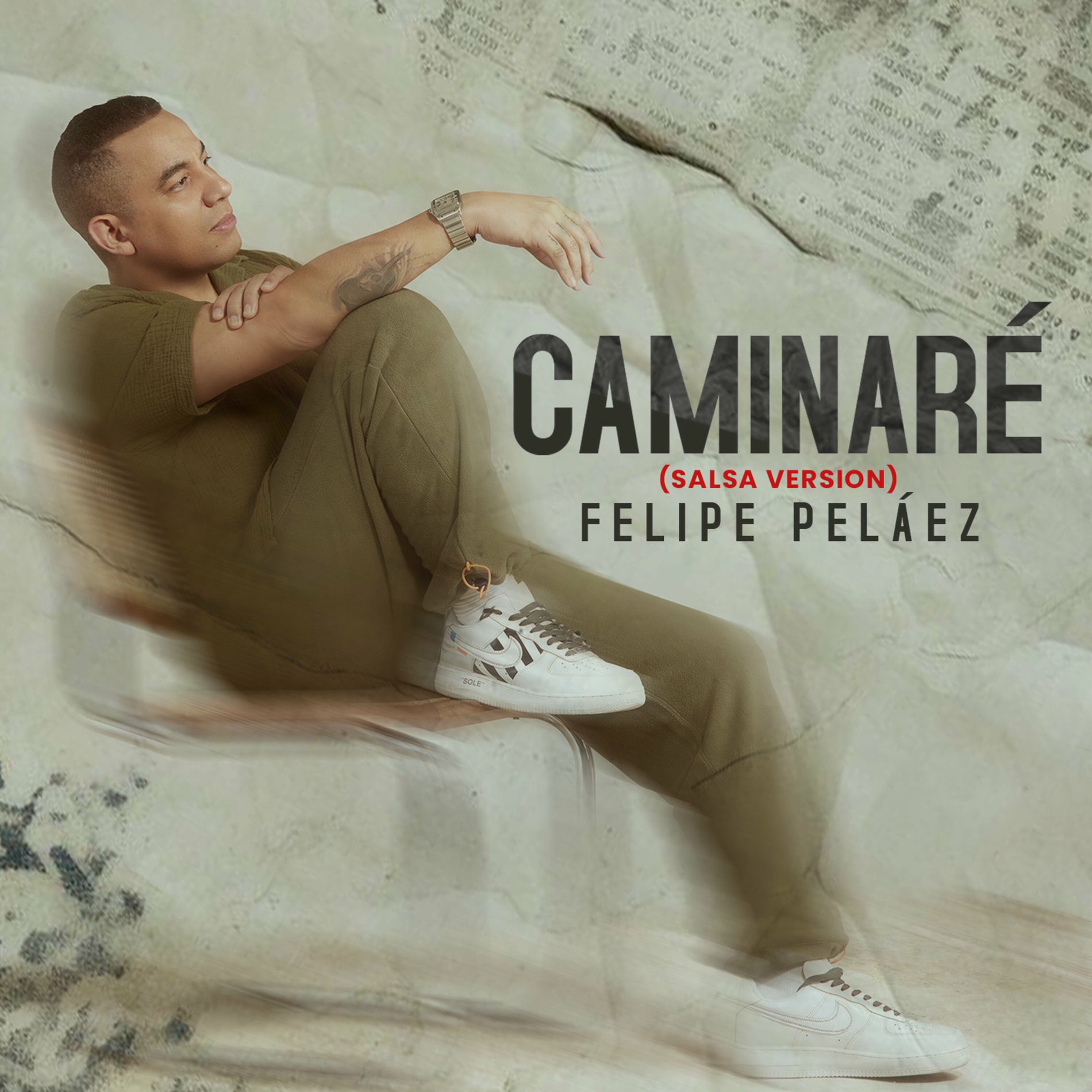 Album cover of Caminaré