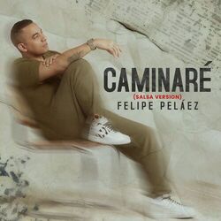 Cover of Caminaré (Salsa Versión)