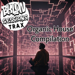 Cover of Organic House Compilation by undefined