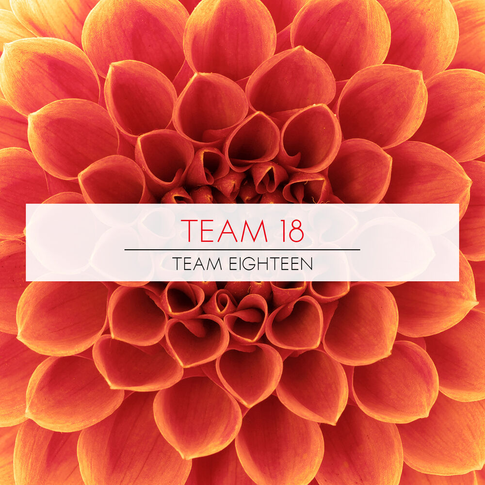 Picture of Team Eighteen