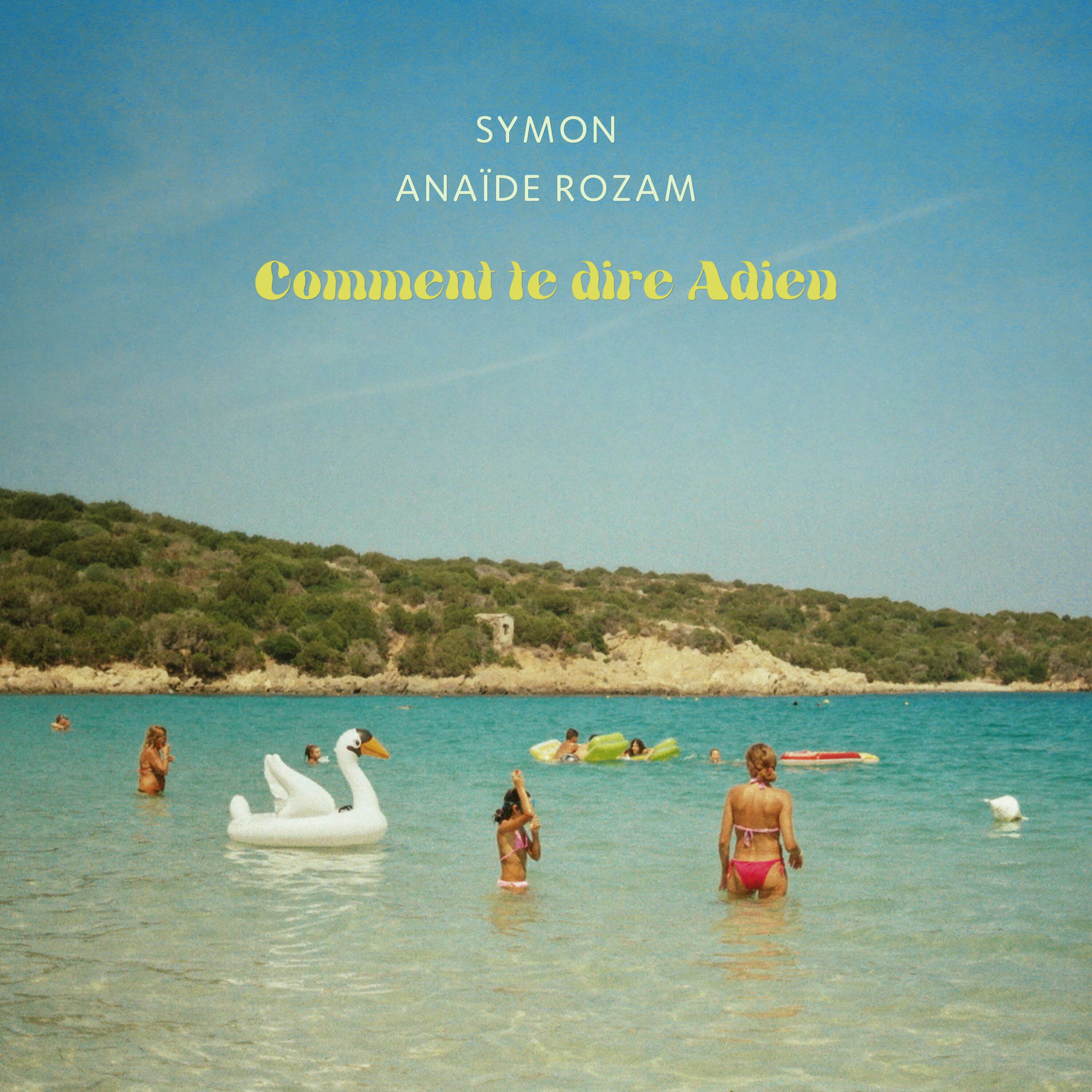 Album cover of Comment te dire adieu