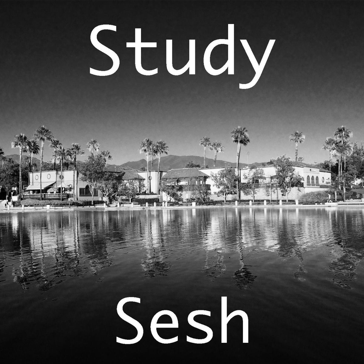 Album cover of Study Sesh
