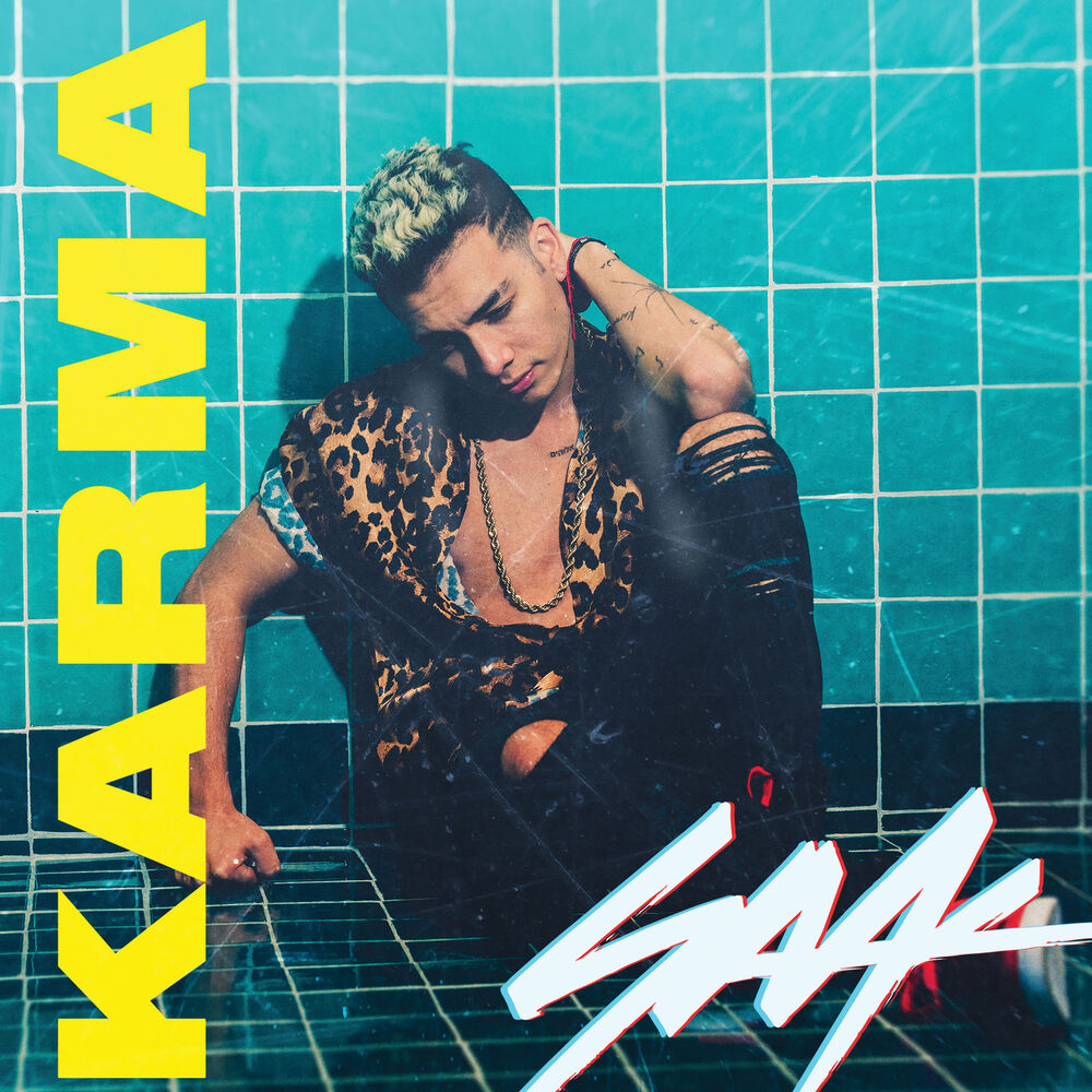 Picture of Karma