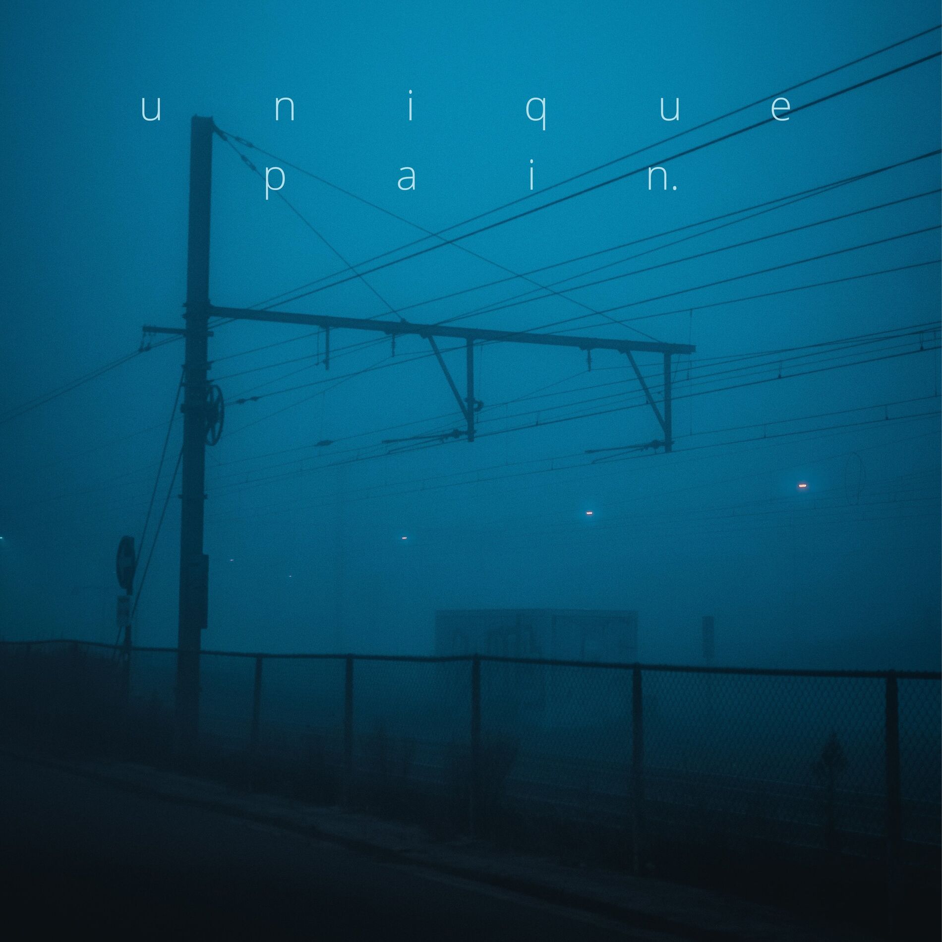 Album cover of unique pain.