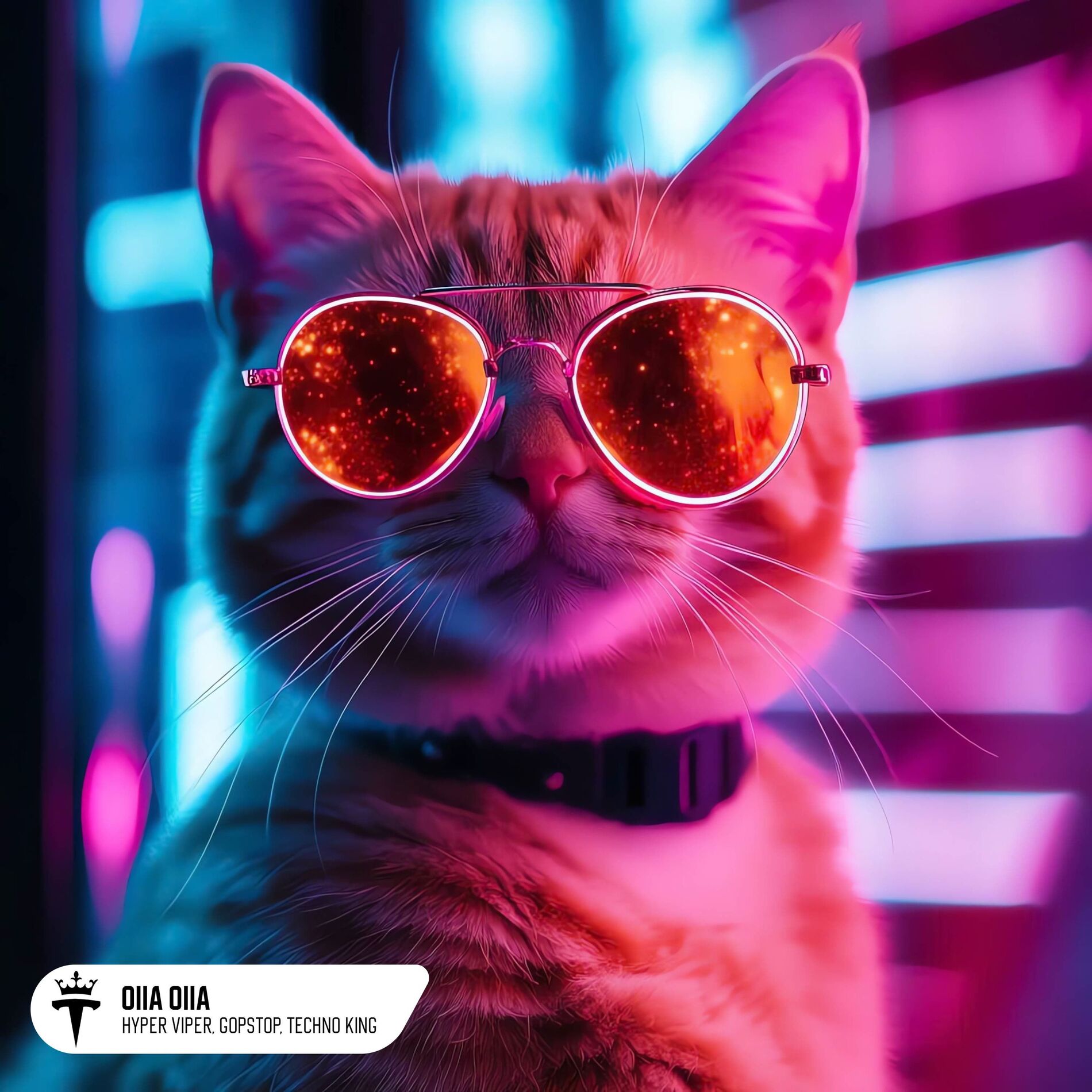 Album cover of OIIA OIIA