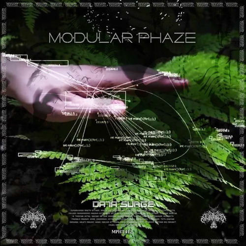 Modular Phaze - Data Surge (2025) Modular Phaze - Data Surge (2025)