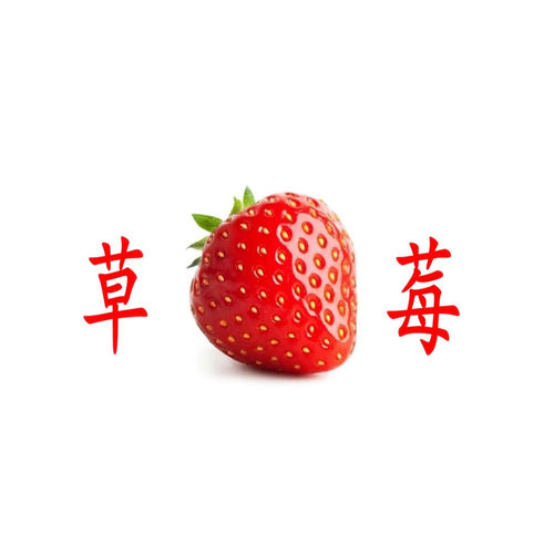 草莓